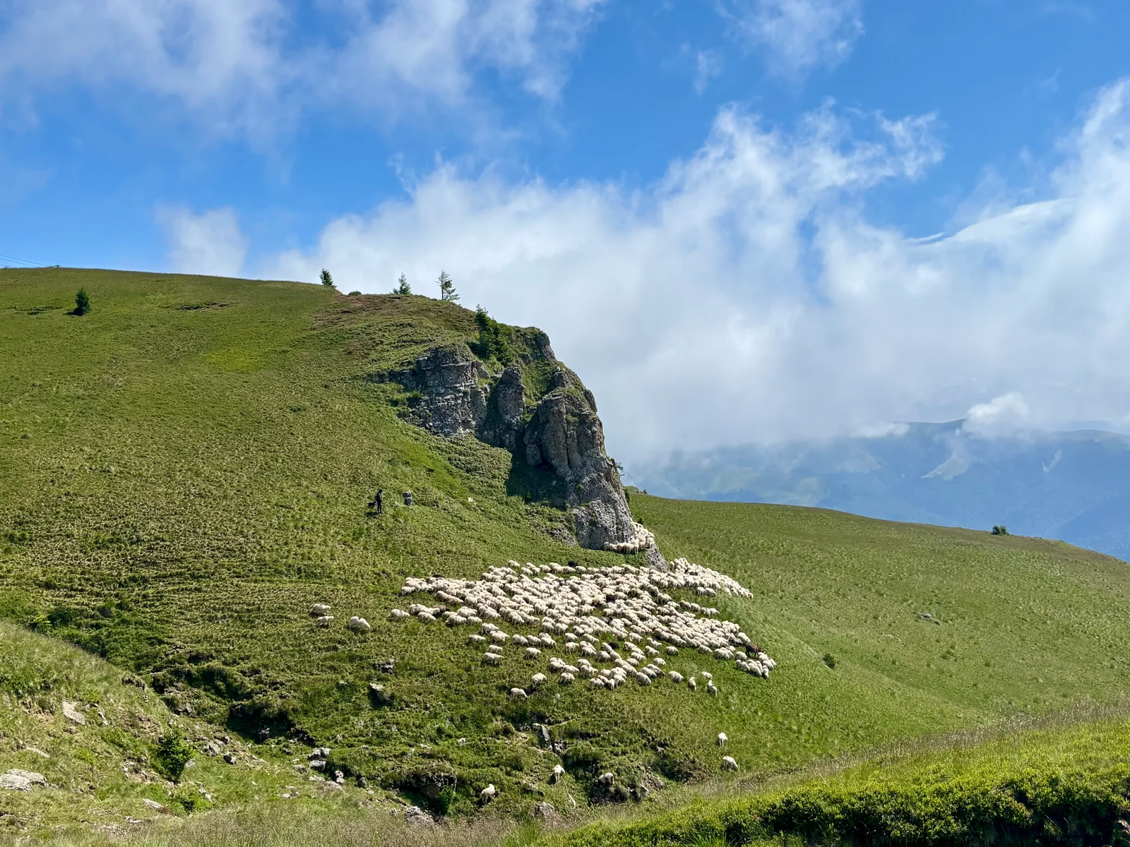 Braşov, Romania