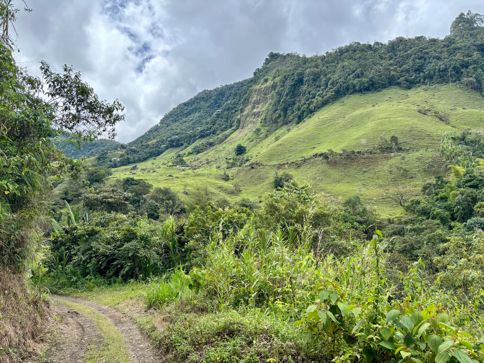 Jardín, Colombia — photo 16