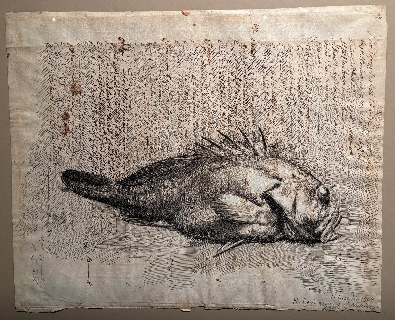 Napoli, Italy — photo 1